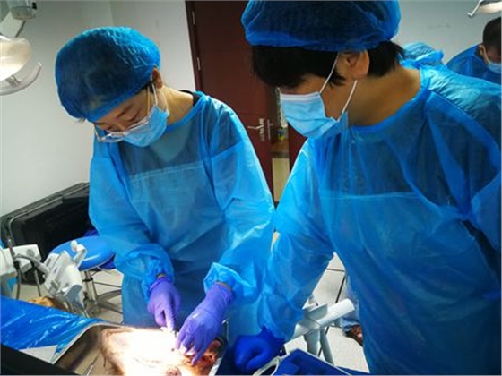 張東星老師杭州微創(chuàng)拔牙課實(shí)操培訓(xùn)分享 張東星老師杭州微創(chuàng)拔牙課實(shí)操培訓(xùn)分享