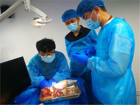 張東星老師杭州微創(chuàng)拔牙課實(shí)操培訓(xùn)分享 張東星老師杭州微創(chuàng)拔牙課實(shí)操培訓(xùn)分享