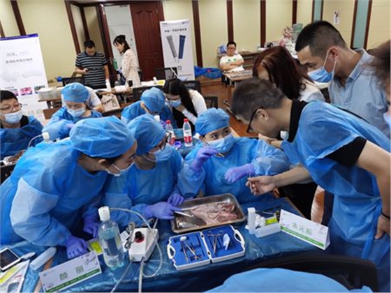 張東星老師濟(jì)南微創(chuàng)拔牙課 張東星老師濟(jì)南微創(chuàng)拔牙課