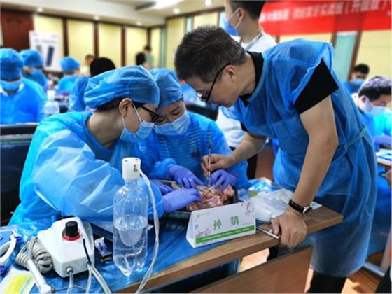 張東星老師濟(jì)南微創(chuàng)拔牙課 張東星老師濟(jì)南微創(chuàng)拔牙課