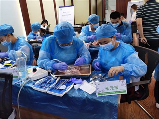 張東星老師濟(jì)南微創(chuàng)拔牙課 張東星老師濟(jì)南微創(chuàng)拔牙課