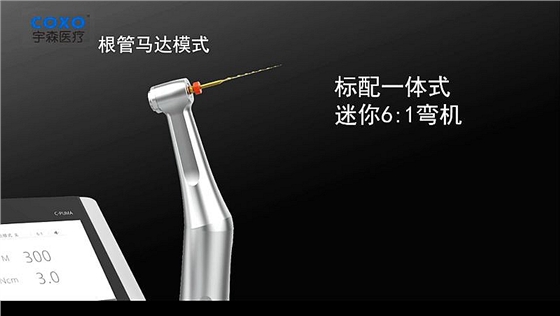 電動(dòng)馬達(dá)和根管馬達(dá)二合一 電動(dòng)馬達(dá)和根管馬達(dá)二合一