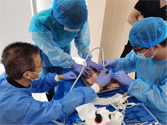 張東星老師南寧站微創(chuàng)拔牙實操課 宇森電動馬達助力 張東星老師南寧站微創(chuàng)拔牙實操課 宇森電動馬達助力