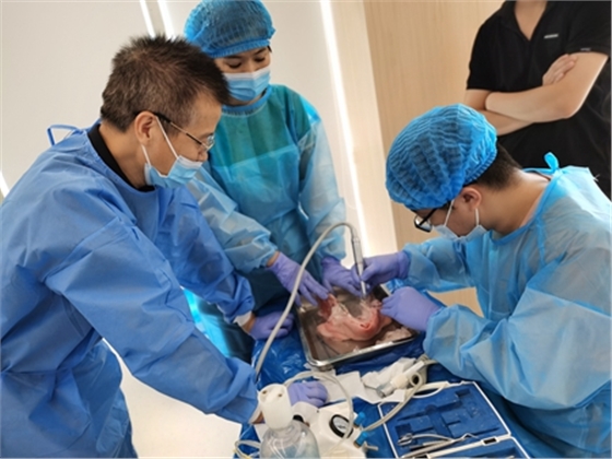 張東星老師南寧站微創(chuàng)拔牙實操課 宇森電動馬達助力 張東星老師南寧站微創(chuàng)拔牙實操課 宇森電動馬達助力