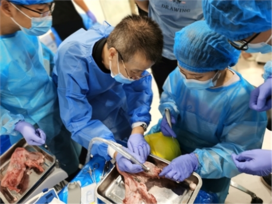 張東星老師南寧站微創(chuàng)拔牙實操課 宇森電動馬達助力 張東星老師南寧站微創(chuàng)拔牙實操課 宇森電動馬達助力