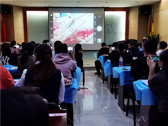 張東星老師北京微創(chuàng)拔牙課實(shí)操展示 張東星老師北京微創(chuàng)拔牙課實(shí)操展示
