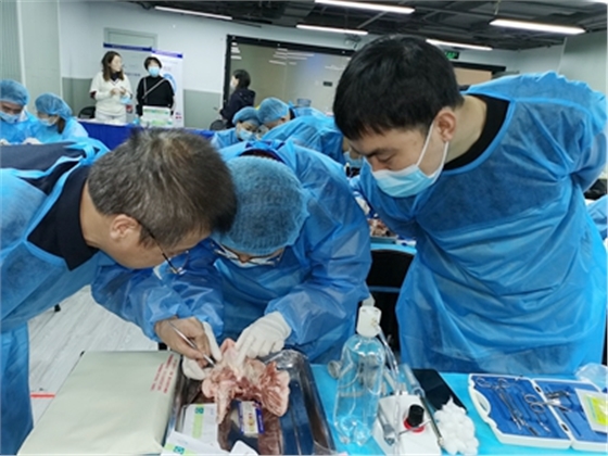 張東星老師上海微創(chuàng)拔牙實操風采 張東星老師上海微創(chuàng)拔牙實操風采