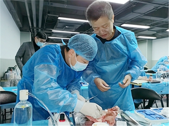 張東星老師上海微創(chuàng)拔牙實操風采 張東星老師上海微創(chuàng)拔牙實操風采