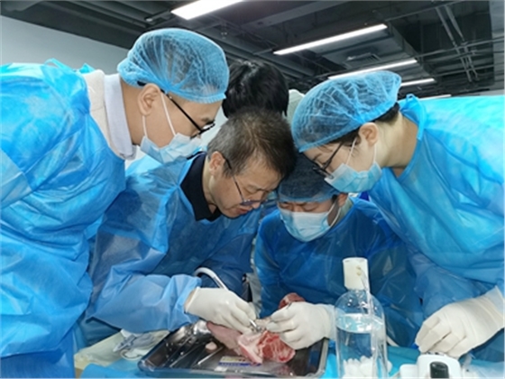 張東星老師上海微創(chuàng)拔牙實操風采 張東星老師上海微創(chuàng)拔牙實操風采