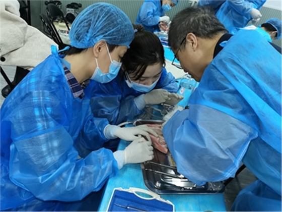 張東星老師上海微創(chuàng)拔牙實操風采 張東星老師上海微創(chuàng)拔牙實操風采