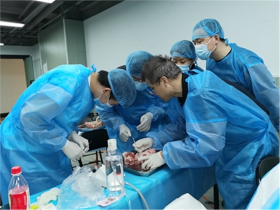 張東星老師上海微創(chuàng)拔牙實操風采 張東星老師上海微創(chuàng)拔牙實操風采