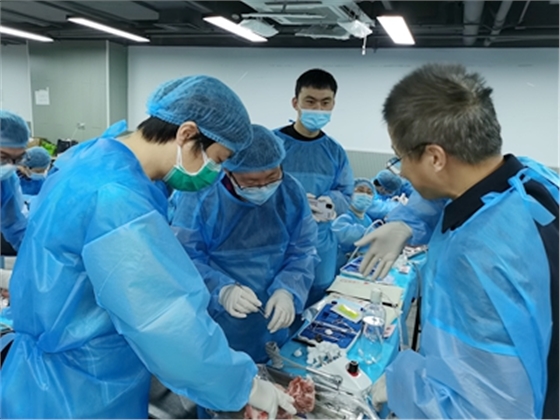 張東星老師上海微創(chuàng)拔牙實操風采 張東星老師上海微創(chuàng)拔牙實操風采