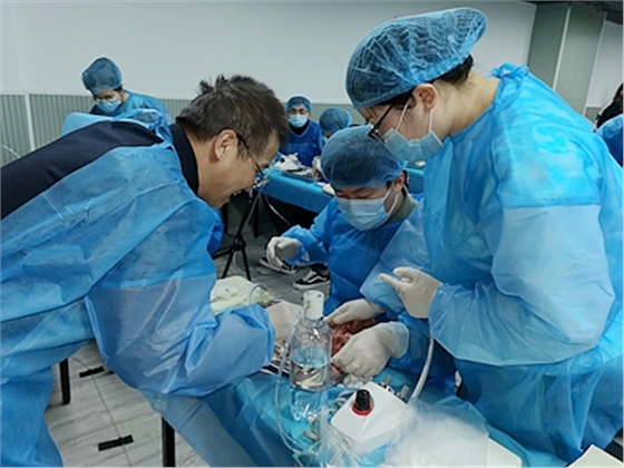 張東星老師上海微創(chuàng)拔牙實操風采 張東星老師上海微創(chuàng)拔牙實操風采