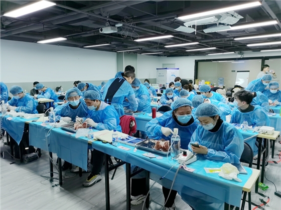 張東星老師上海微創(chuàng)拔牙實操風采 張東星老師上海微創(chuàng)拔牙實操風采