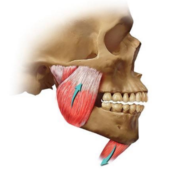 如何利用垂直距離解決好臨床問(wèn)題 如何利用垂直距離解決好臨床問(wèn)題