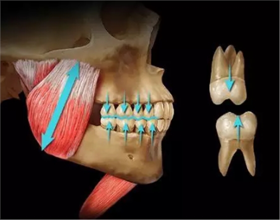 如何利用垂直距離解決好臨床問(wèn)題 如何利用垂直距離解決好臨床問(wèn)題