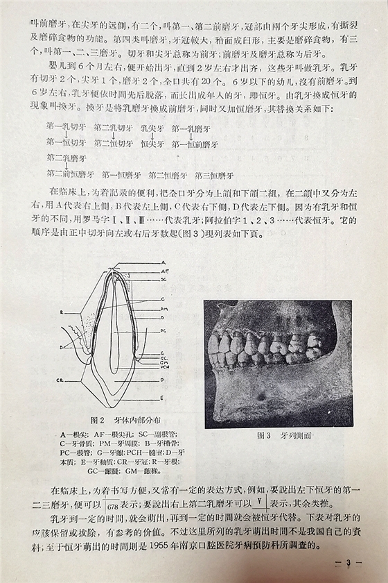 《實用拔牙學(xué)》一級教授陳華主編 《實用拔牙學(xué)》一級教授陳華主編