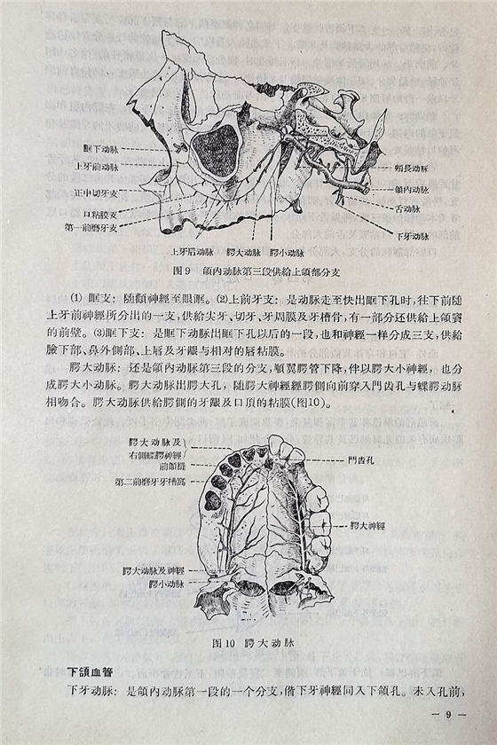 《實用拔牙學(xué)》一級教授陳華主編 《實用拔牙學(xué)》一級教授陳華主編