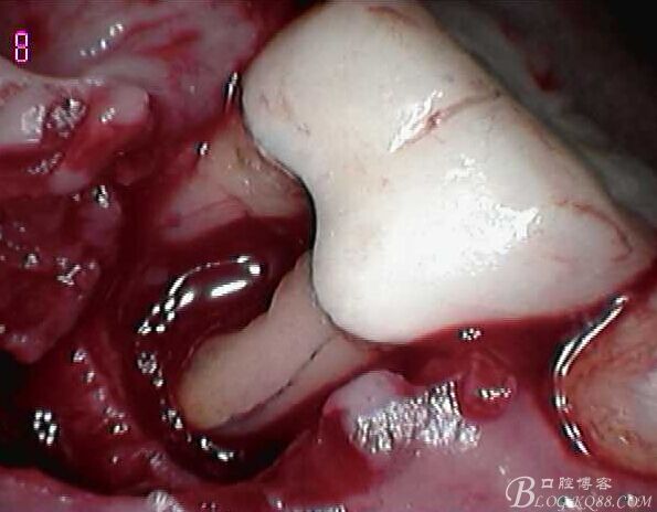 QQ圖片20150712103615.jpg QQ圖片20150712103615.jpg