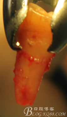 QQ圖片20150712104002.png QQ圖片20150712104002.png