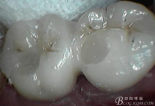 QQ圖片20150712110711.png QQ圖片20150712110711.png