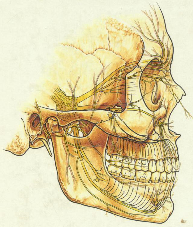 QQ圖片20150712112554.png QQ圖片20150712112554.png