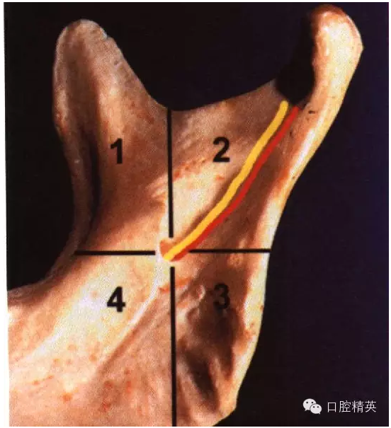 QQ圖片20150717091641.png QQ圖片20150717091641.png