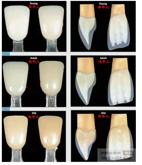 QQ圖片20150717111320.png QQ圖片20150717111320.png