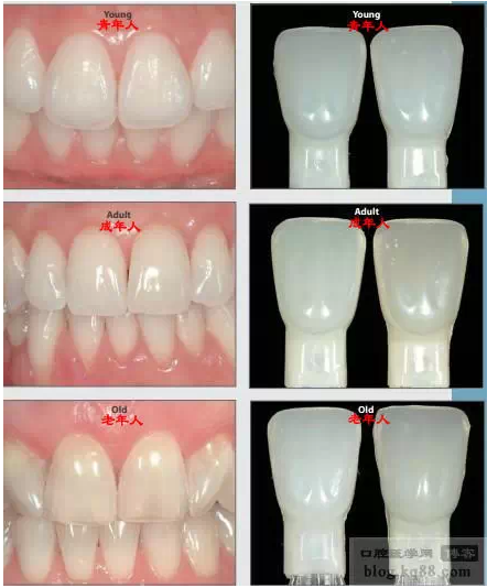 QQ圖片20150717111353.png QQ圖片20150717111353.png