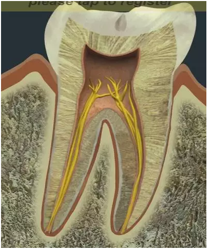 QQ圖片20150718100428.png QQ圖片20150718100428.png