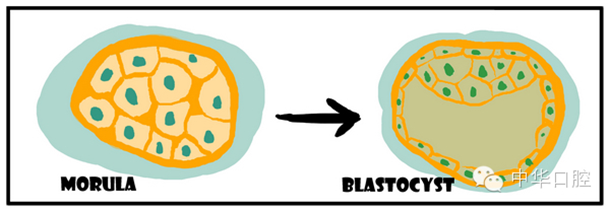 QQ圖片20150720090411.png QQ圖片20150720090411.png