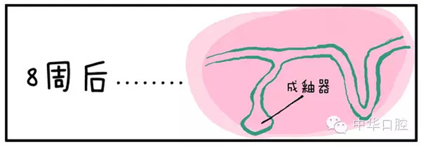 QQ圖片20150720090537.png QQ圖片20150720090537.png