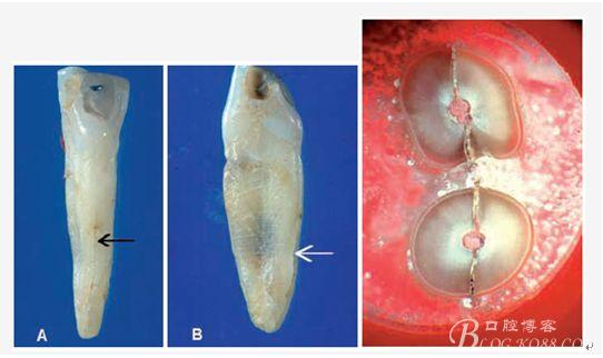 QQ圖片20150720102417.png QQ圖片20150720102417.png
