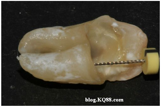 QQ圖片20150720132819.png QQ圖片20150720132819.png