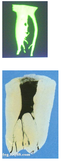 QQ圖片20150720132850.png QQ圖片20150720132850.png