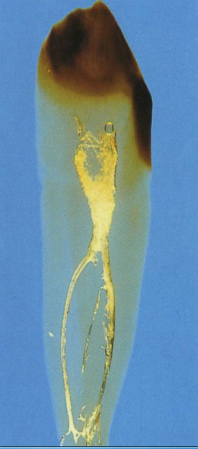 QQ圖片20150720133046.png QQ圖片20150720133046.png