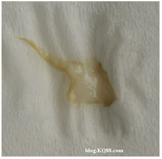 QQ圖片20150720133621.png QQ圖片20150720133621.png