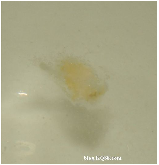 QQ圖片20150720133853.png QQ圖片20150720133853.png