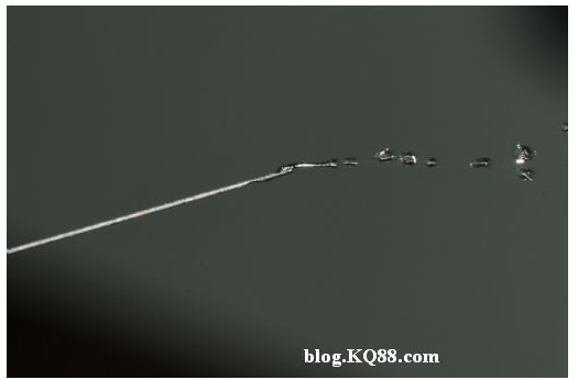 QQ圖片20150720135530.png QQ圖片20150720135530.png