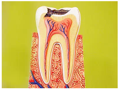 QQ圖片20150720142710.png QQ圖片20150720142710.png