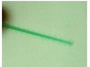 QQ圖片20150720140049.png QQ圖片20150720140049.png