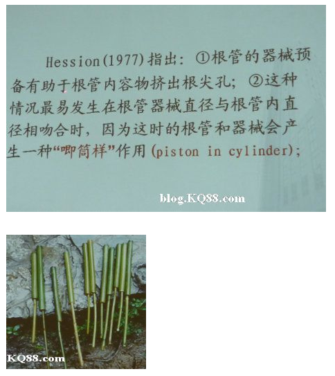 QQ圖片20150720140144.png QQ圖片20150720140144.png