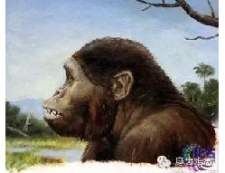 走進(jìn)牙齒的故事，訴說千年的演變