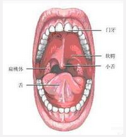 QQ圖片20150721114628.png QQ圖片20150721114628.png