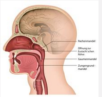 QQ圖片20150721114838.png QQ圖片20150721114838.png