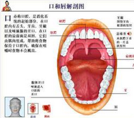 QQ圖片20150721114929.png QQ圖片20150721114929.png