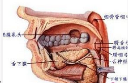 QQ圖片20150721133406.png QQ圖片20150721133406.png