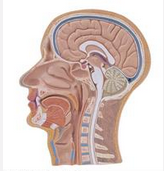 QQ圖片20150721133929.png QQ圖片20150721133929.png