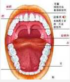 QQ圖片20150721134022.png QQ圖片20150721134022.png