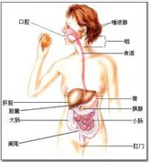 QQ圖片20150721134626.png QQ圖片20150721134626.png